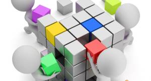 curriculum Development