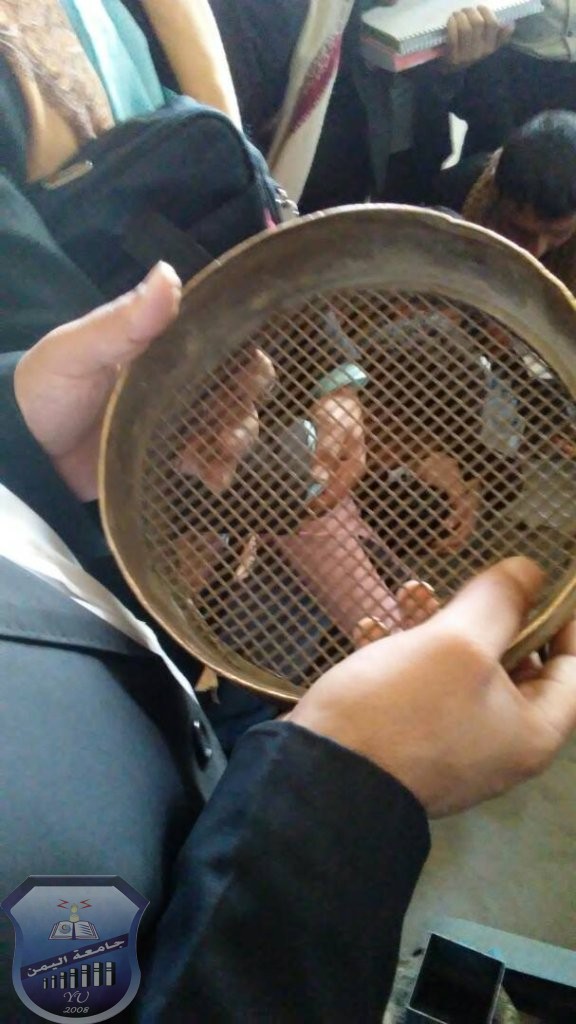 استمرار اعمال التدريب لطلاب قسم الهندسة المدني بمختبرات وزارة الاشغال العامة والطرق